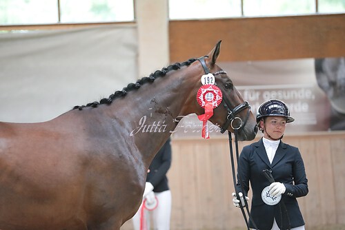 Siegerehrung Stutenleistung0075