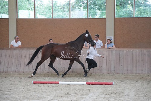 Siegerehrung 227