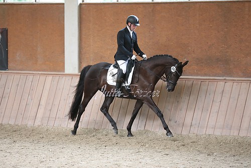 Stutenleistung0130