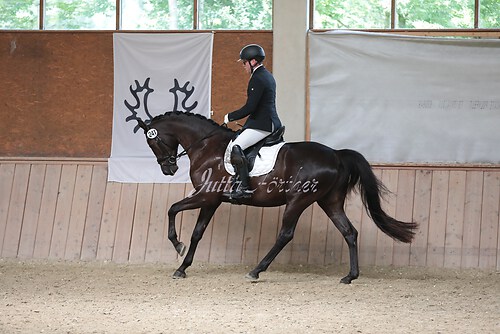 Stutenleistung0132