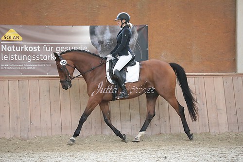 Stutenleistung0055
