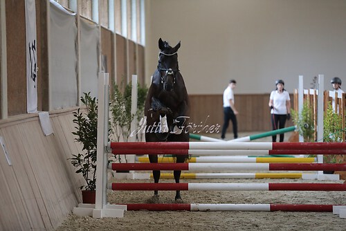 Freispringen 397