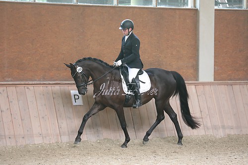 Stutenleistung0134