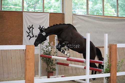 Herzogin Kate08