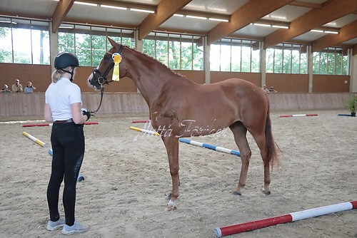 Siegerehrung 43