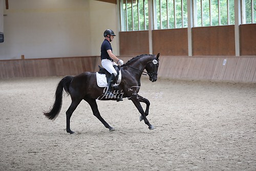Stutenleistung0124