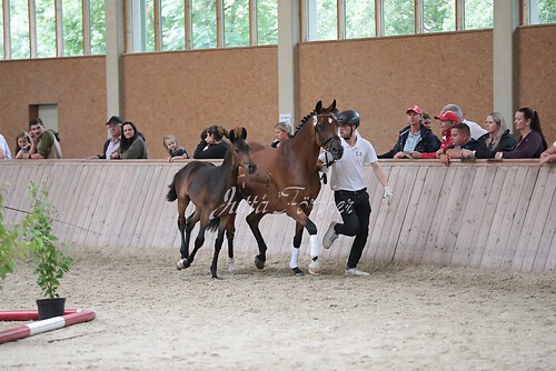 Freispringen 30