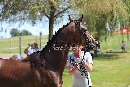 SF v. Cornut braun 21.04.00