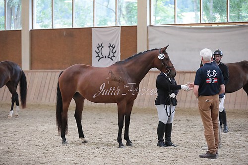 Siegerehrung Stutenleistung0134