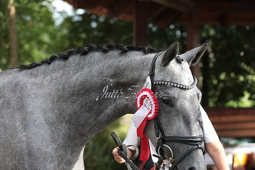 Siegerehrung Stutenleistung0102