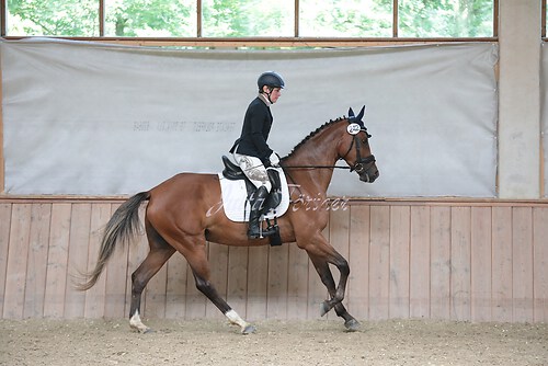 Stutenleistung0209