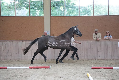 Siegerehrung 70