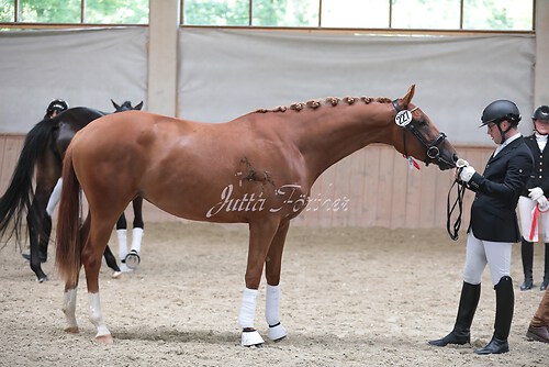 Siegerehrung Stutenleistung0029