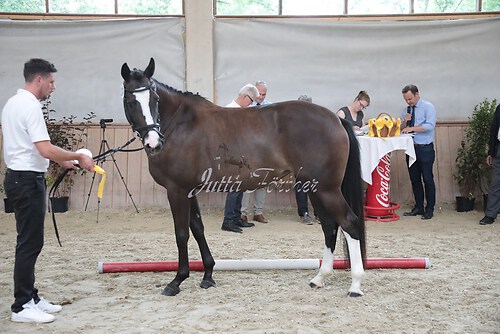 Siegerehrung 286
