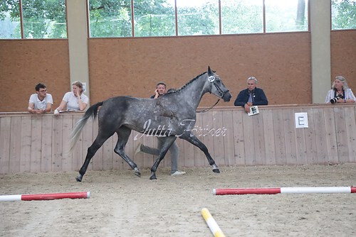 Siegerehrung 252