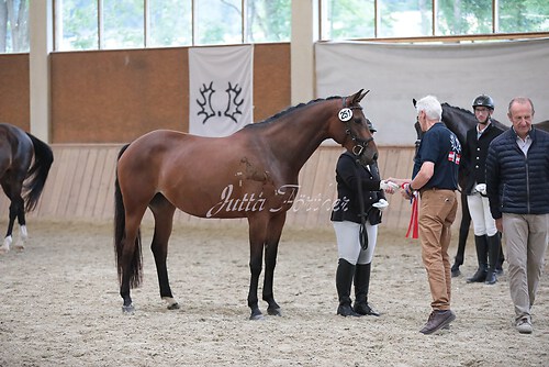 Siegerehrung Stutenleistung0135