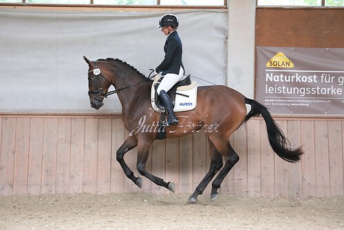 Stutenleistung0154