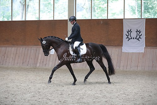 Stutenleistung0140