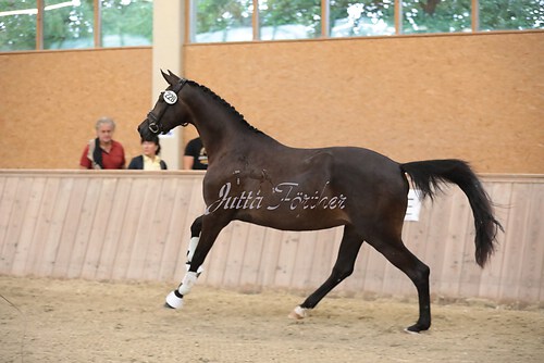 Italia M02