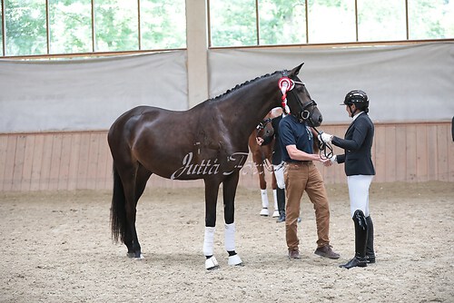 Siegerehrung Stutenleistung0043