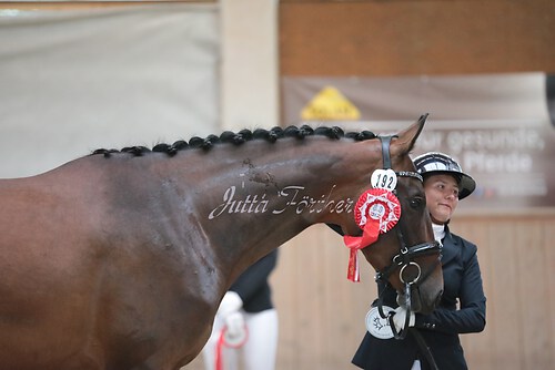 Siegerehrung Stutenleistung0072