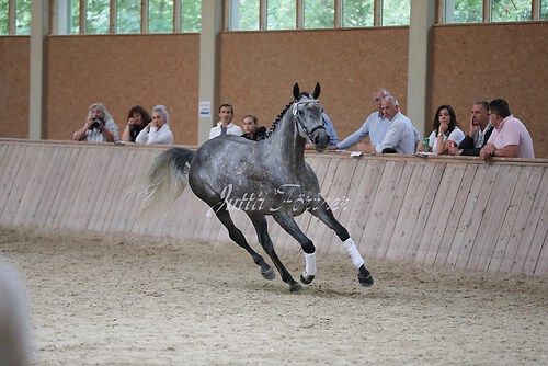 Freispringen 259