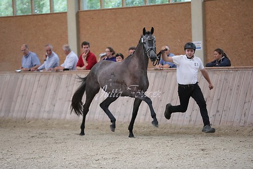 Freispringen 457