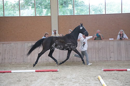 Siegerehrung 182