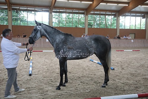 Siegerehrung 254