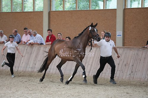 Freispringen 411