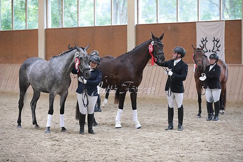 Siegerehrung Stutenleistung0164