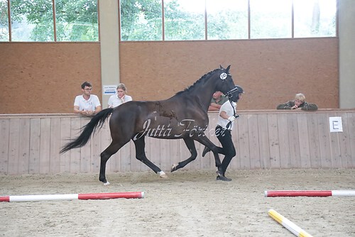 Siegerehrung 237