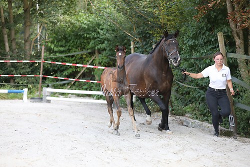 Lebensglück062