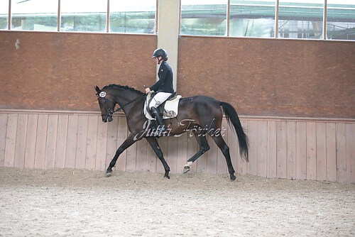 Stutenleistung0120