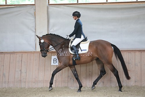Stutenleistung0169