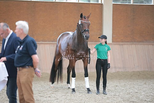 Siegerehrung Stutenleistung0013