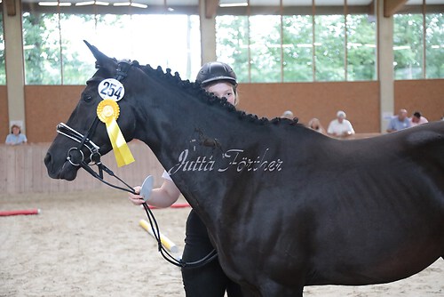 Siegerehrung 160