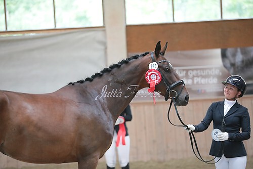 Siegerehrung Stutenleistung0077