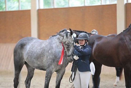 Siegerehrung Stutenleistung0154