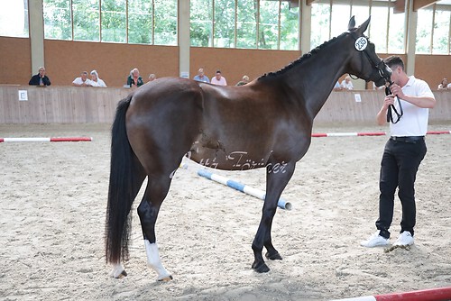 Siegerehrung 317