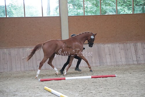Siegerehrung 75