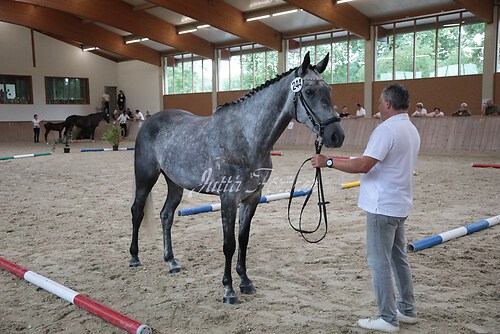 Siegerehrung 135