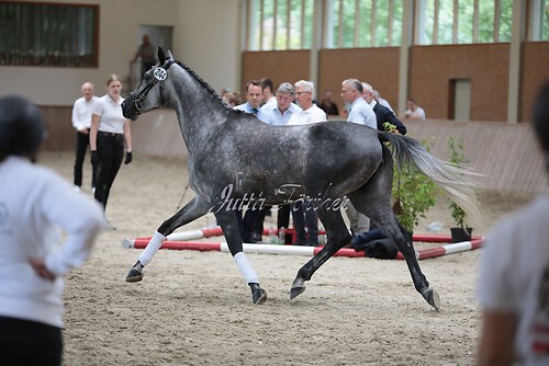 Freispringen 265