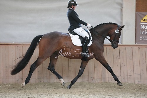 Stutenleistung0099
