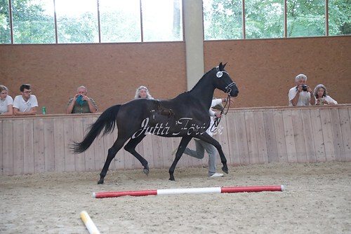 Siegerehrung 181