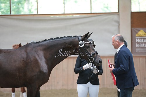 Siegerehrung Stutenleistung0040