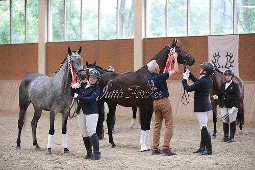 Siegerehrung Stutenleistung0152