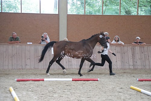 Siegerehrung 173