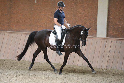 Stutenleistung0125