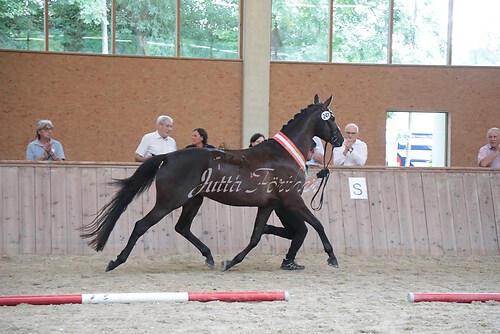 Siegerehrung 82